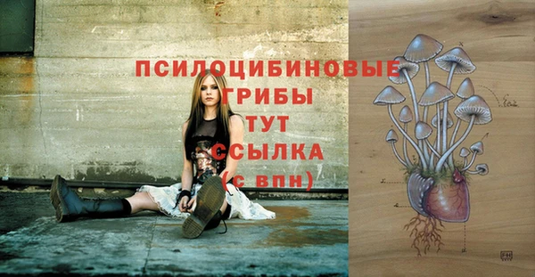 метадон Покачи