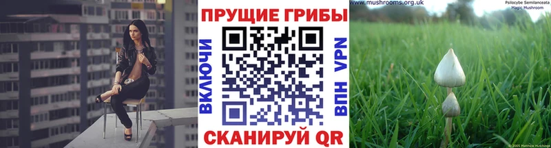 Псилоцибиновые грибы мицелий  где купить наркоту  Оханск 
